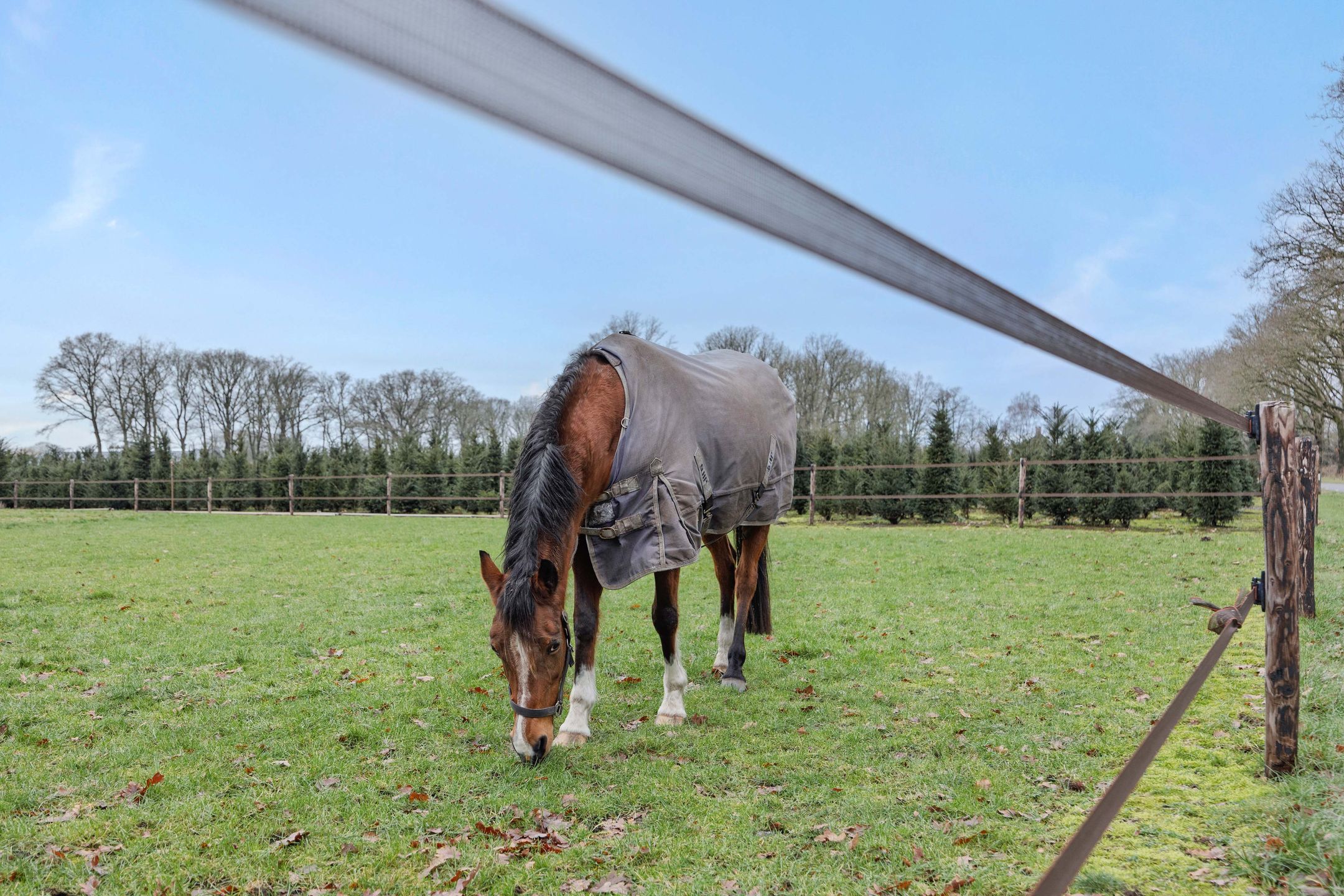 Foto 45 van Rodegraafweg 11