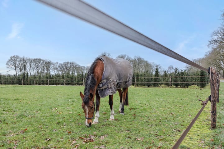 Foto 45 van Rodegraafweg 11