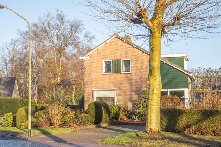 Foto 36 van Berkenlaan 21