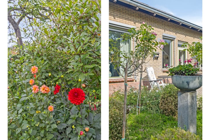 Foto 30 van Hammarskjöldlaan 19