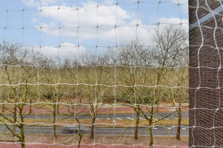 Foto 4 van Van Nijenrodeweg 311