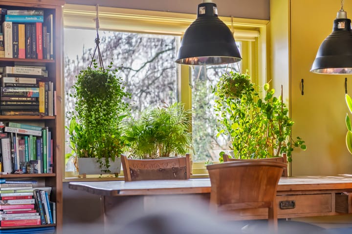 Foto 5 van Rijnbandijk 45