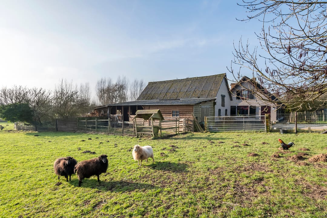 Foto 8 van Rijnbandijk 45