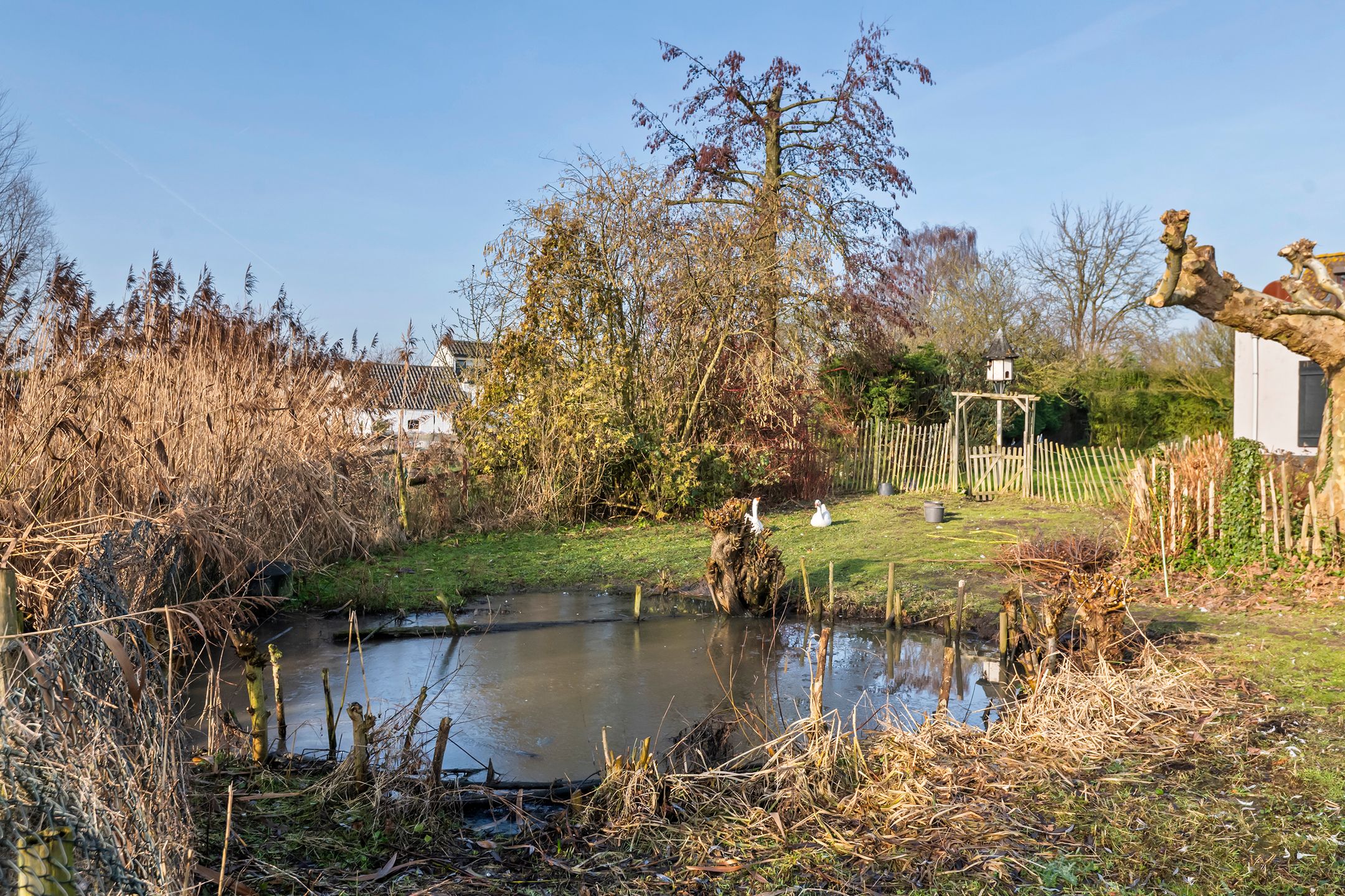 Foto 15 van Rijnbandijk 45