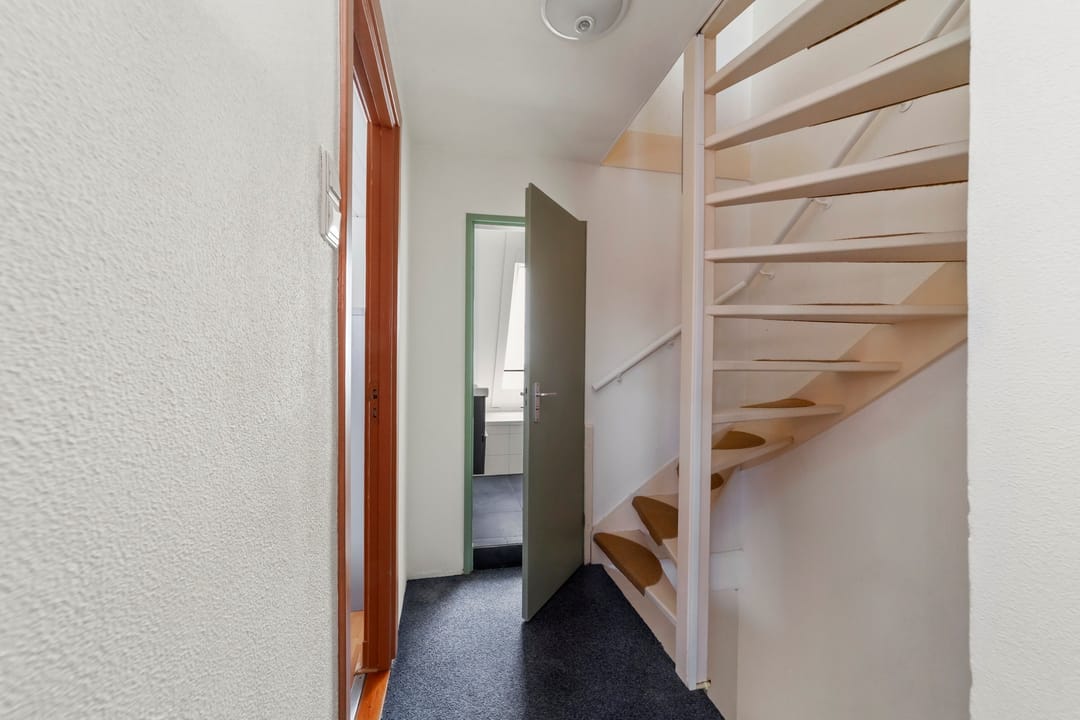 Photo 16 of Ternatestraat 21