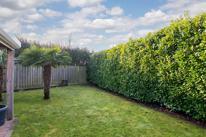 Foto 39 van Torenvalk 41