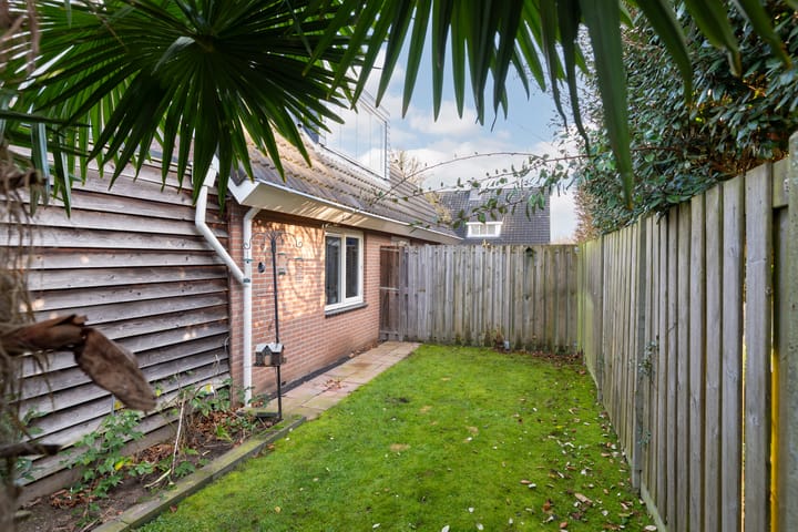 Foto 41 van Torenvalk 41