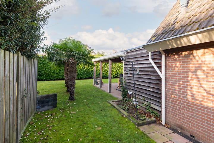 Foto 40 van Torenvalk 41