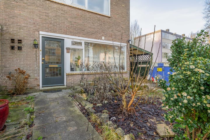 Foto 32 van Treubstraat 18