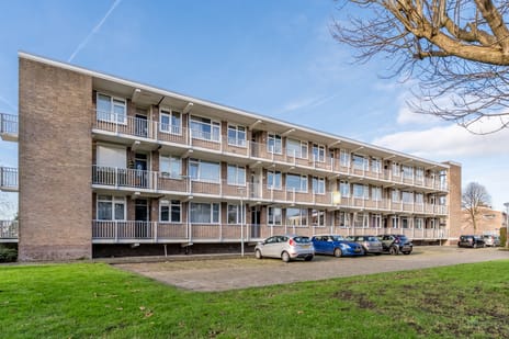 Reviusstraat thumbnail