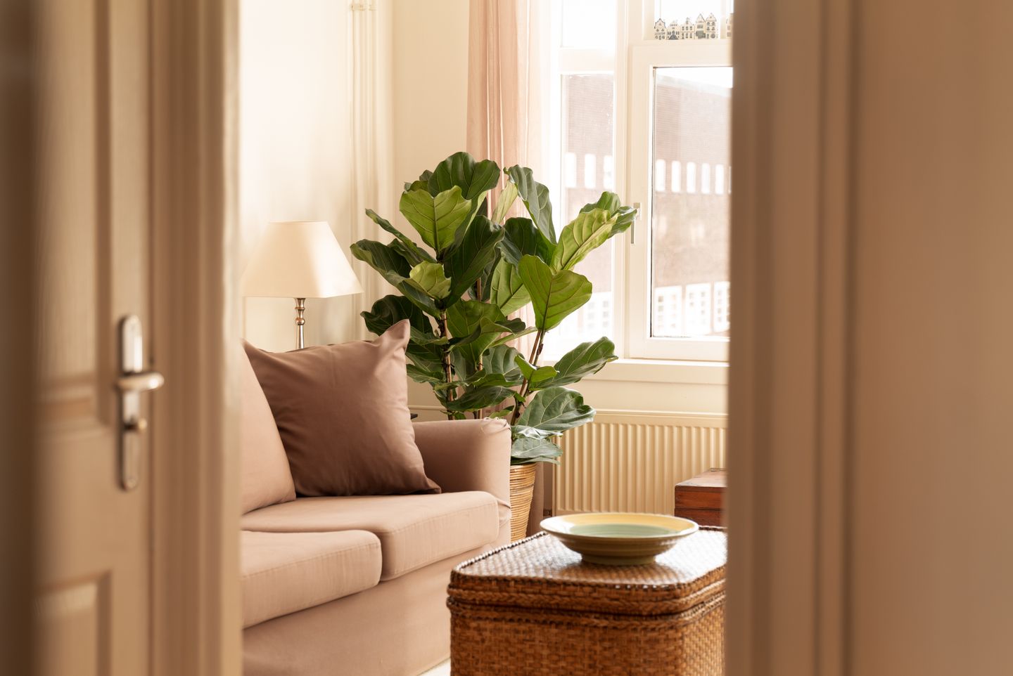 Foto 4 van Christiaan de Wetstraat 7-2