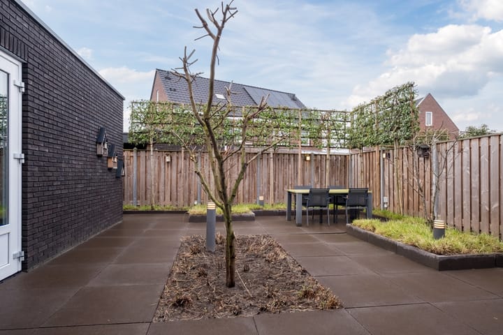 Foto 30 van Klokstaart 69