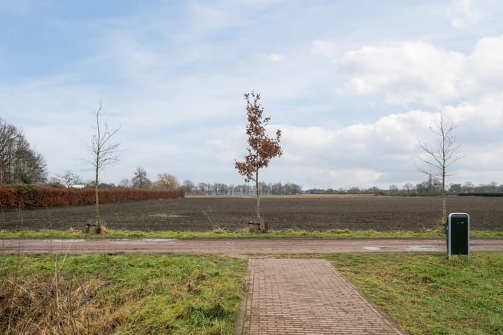 Foto 36 van Klokstaart 69