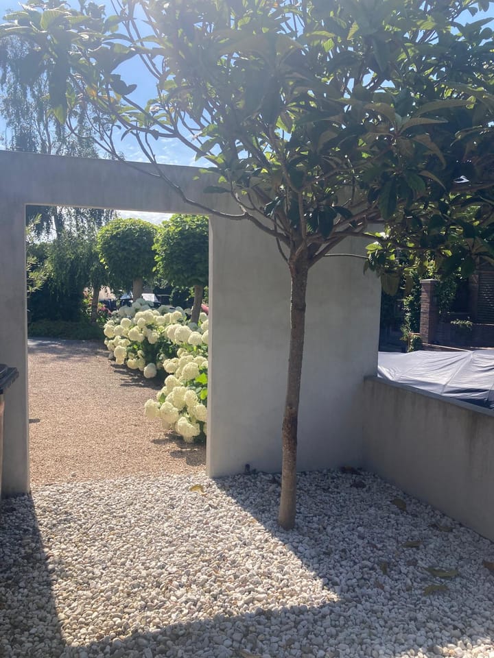 Foto 55 van Roemereiland 24