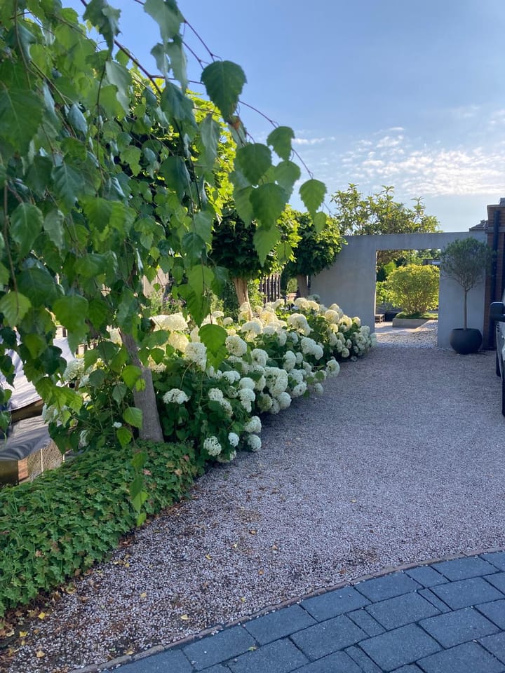 Foto 56 van Roemereiland 24