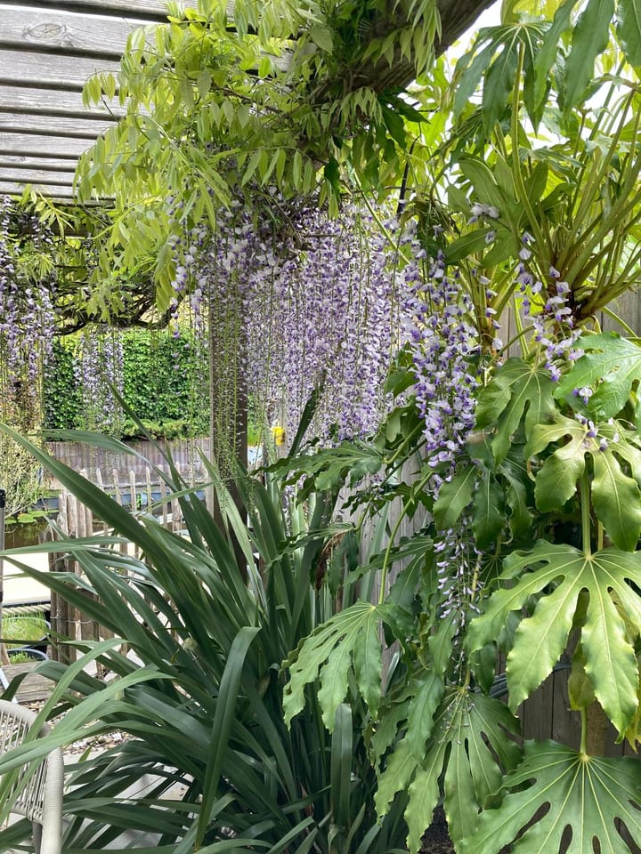 Foto 58 van Roemereiland 24