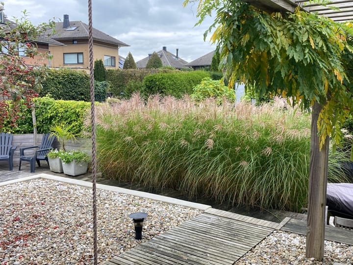 Foto 59 van Roemereiland 24