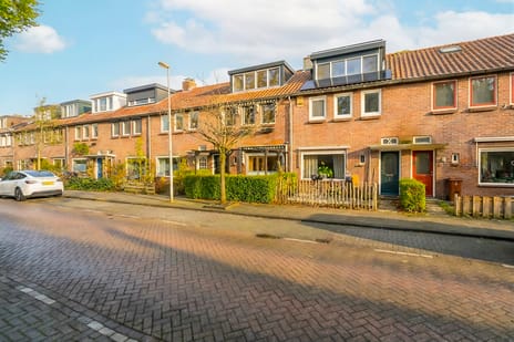 Galjoenstraat thumbnail