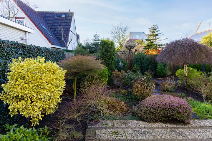 Foto 58 van Barnsteen 29