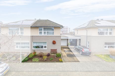 Hoornbloem thumbnail