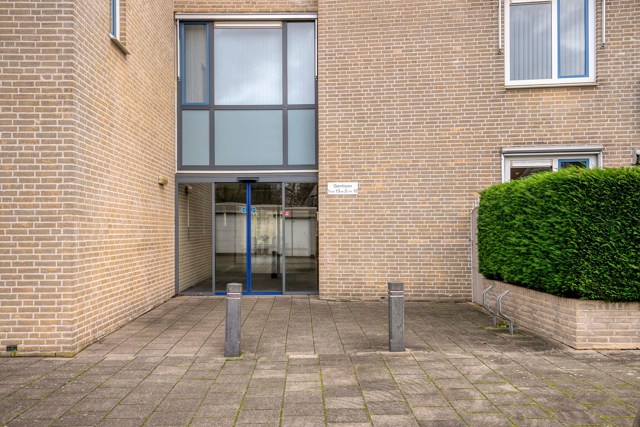 Photo 6 of Gentiaan 6