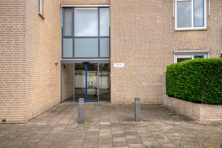 Foto 6 van Gentiaan 6