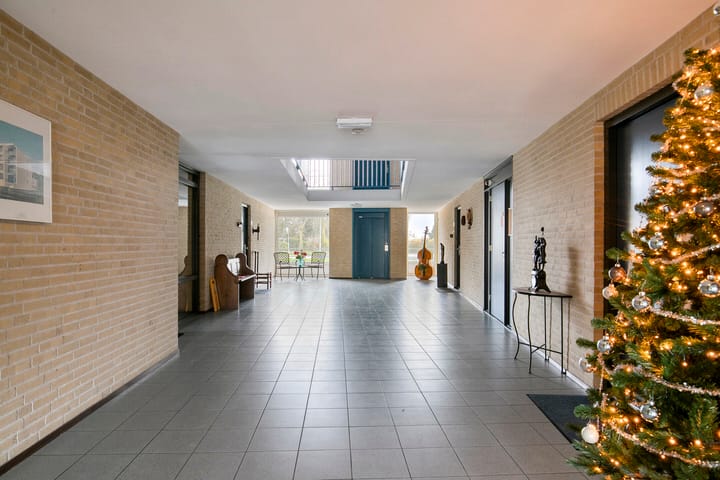 Foto 8 van Gentiaan 6