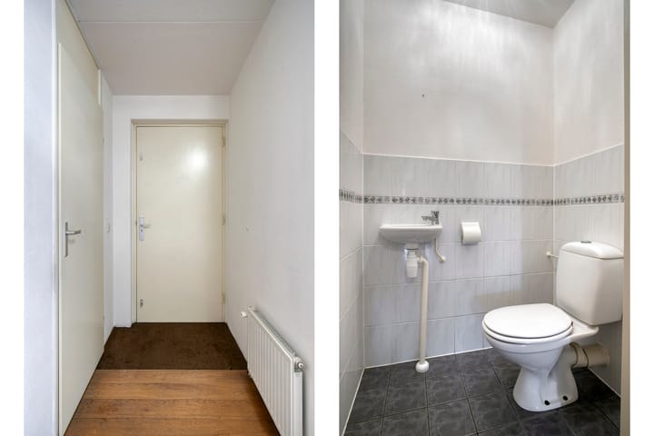 Foto 12 van Gentiaan 6