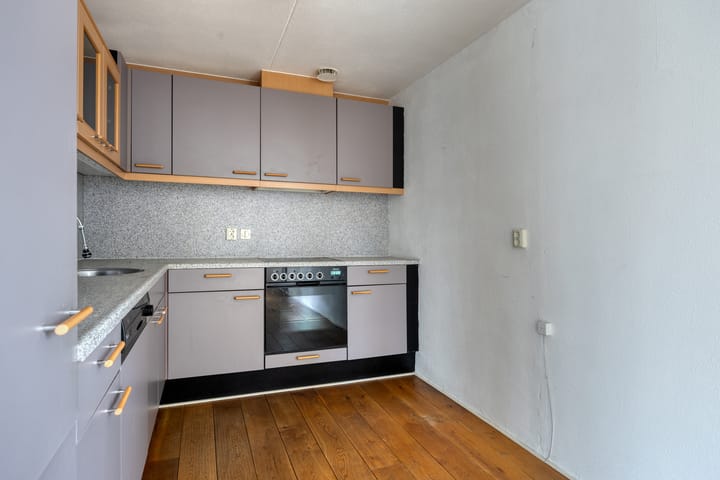 Foto 5 van Gentiaan 6