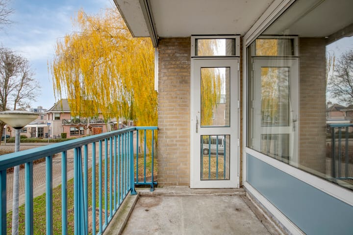 Photo 2 of Gentiaan 6