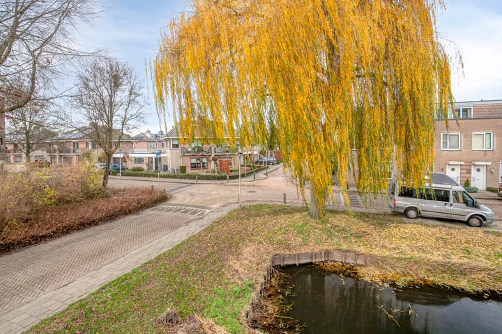 Foto 22 van Gentiaan 6