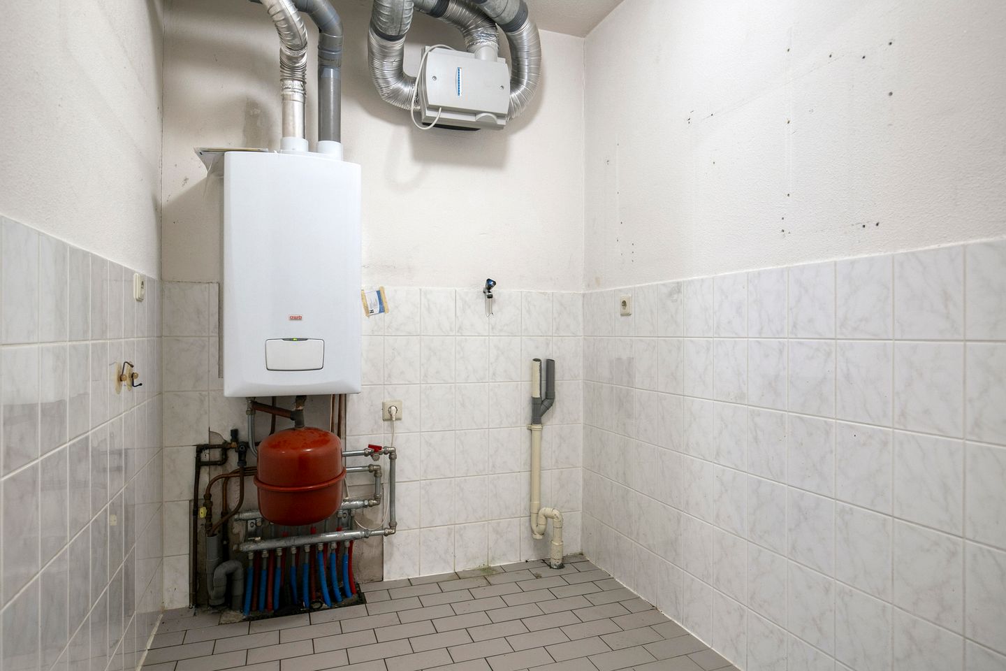 Photo 29 of Gentiaan 6