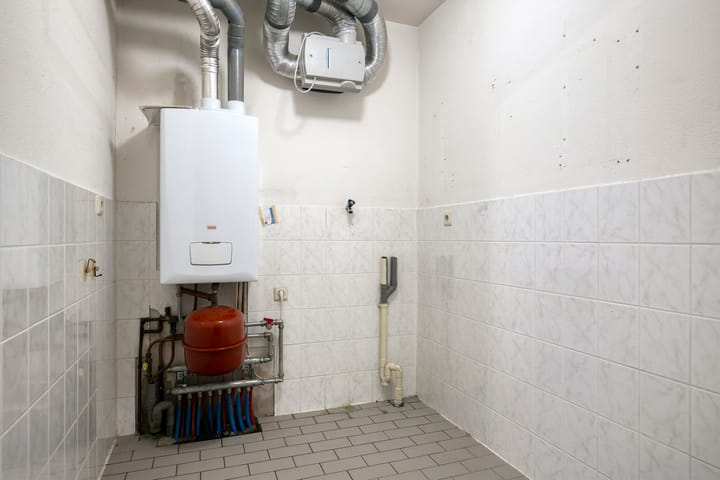 Foto 29 van Gentiaan 6