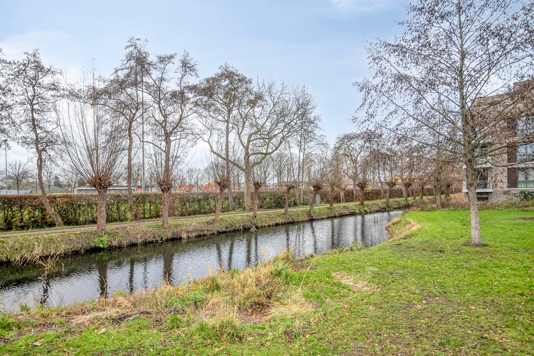 Photo 32 of Gentiaan 6