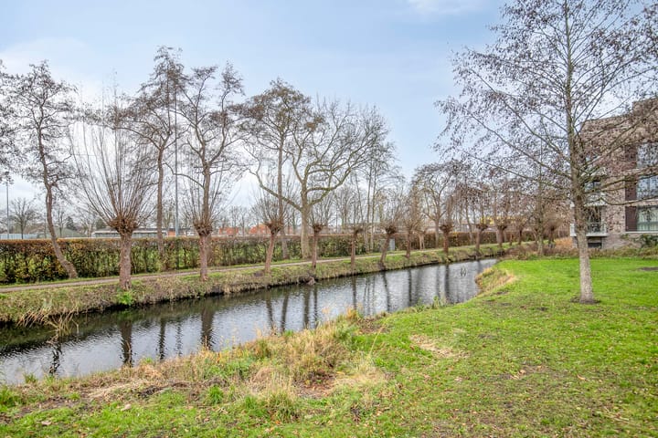 Foto 32 van Gentiaan 6