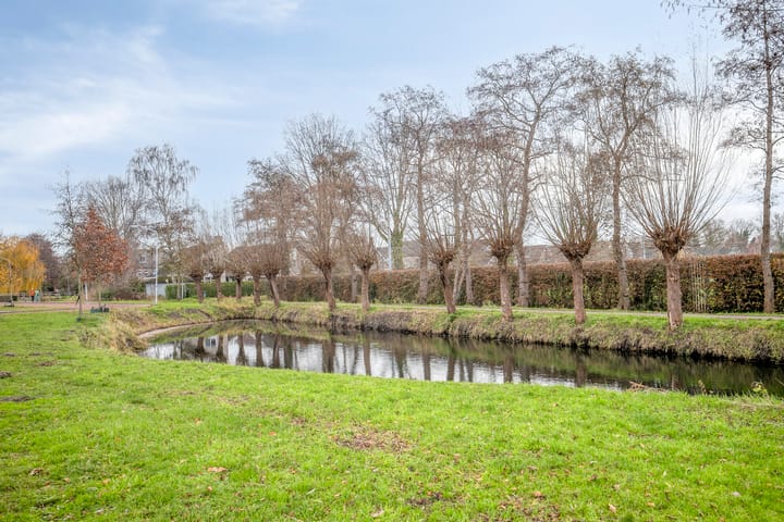 Foto 33 van Gentiaan 6