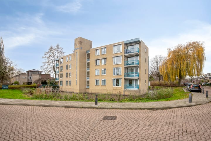 Foto 35 van Gentiaan 6