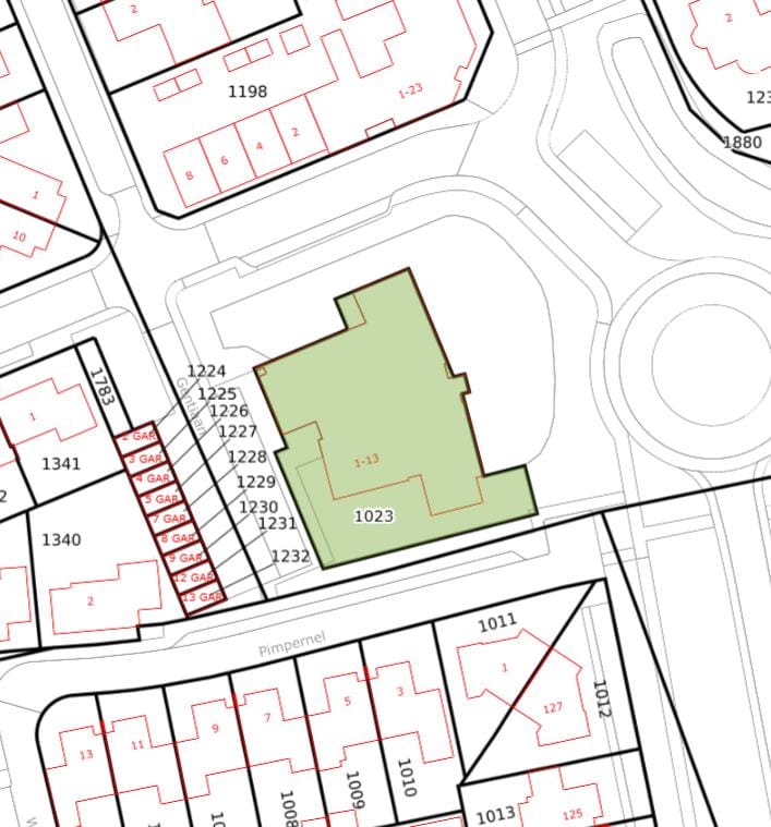 Foto 38 van Gentiaan 6