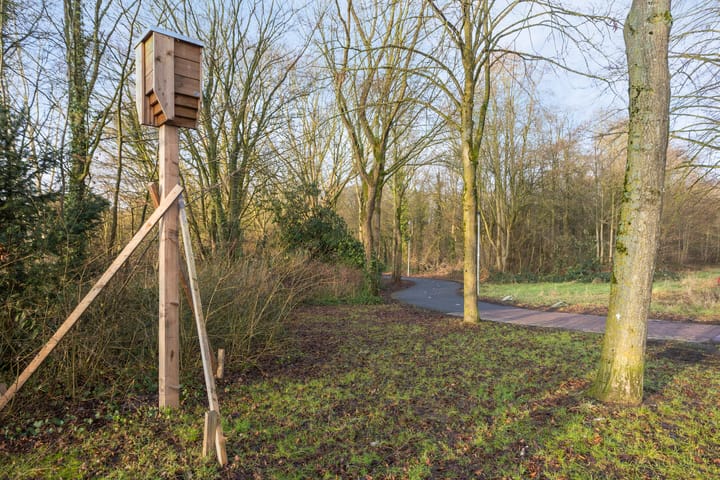 Foto 38 van Karveel 43 60