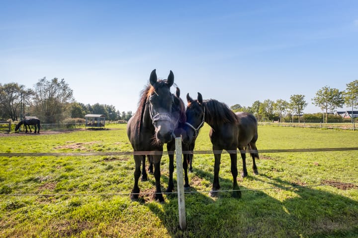 Foto 55 van Herenweg 2