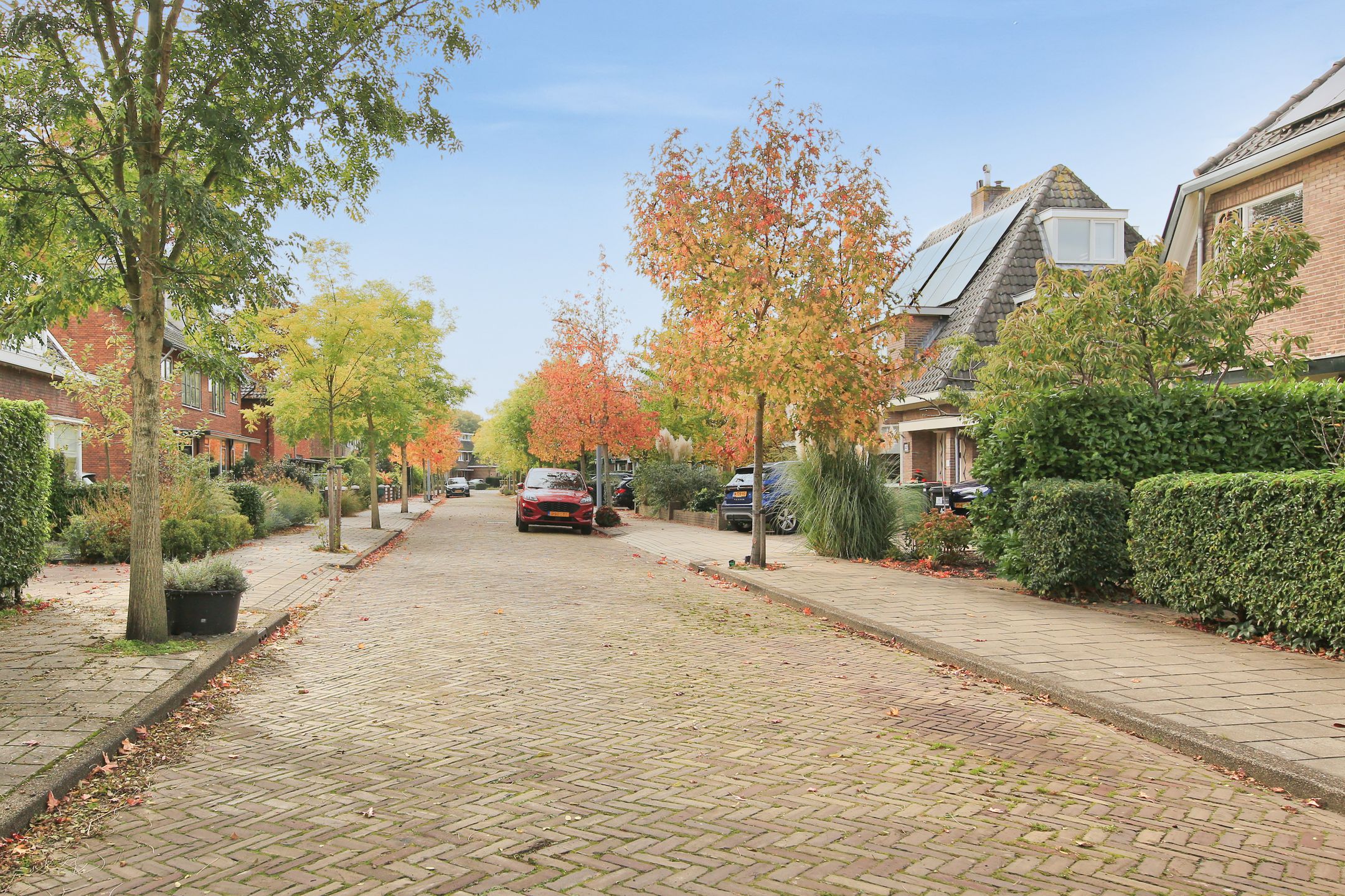 Foto 42 van Leeuwerikstraat 41