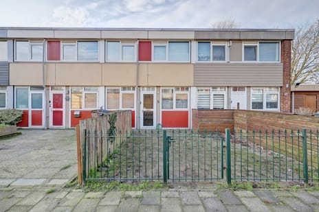 undefined main image