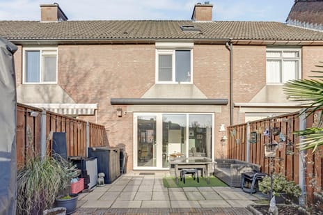 undefined main image