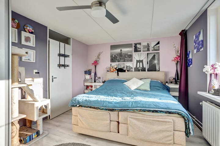 Foto 10 van Patrijs 55