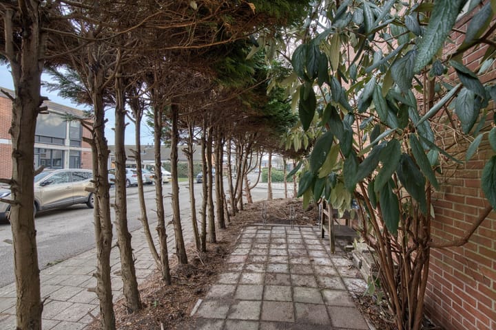 Foto 19 van Grevelingen 2