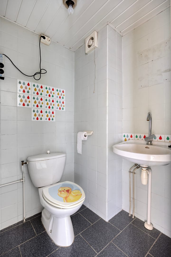 Foto 20 van Ossenisseweg 88