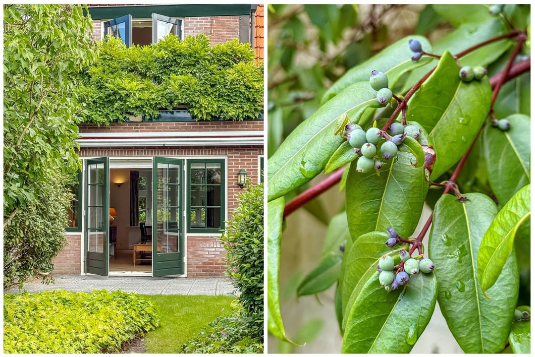 Foto 46 van Taludweg 105