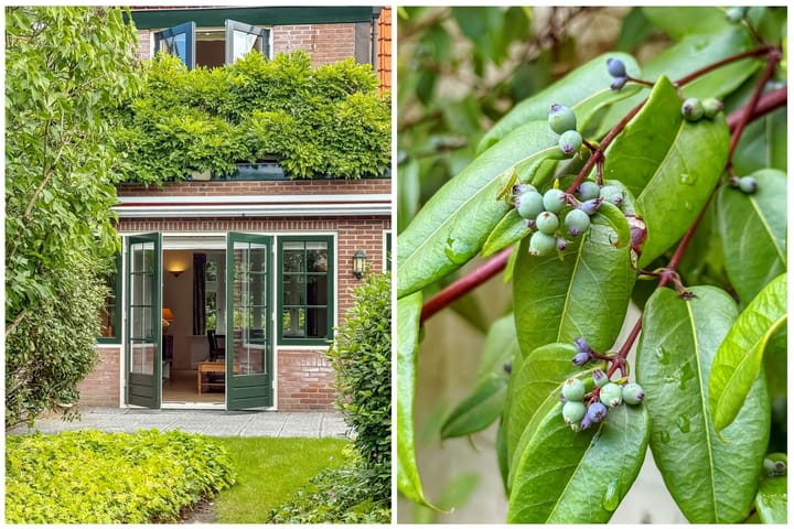 Foto 46 van Taludweg 105