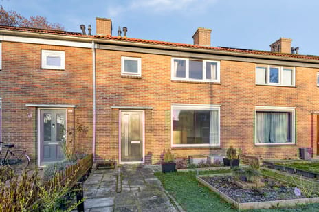 Lepelbladstraat thumbnail