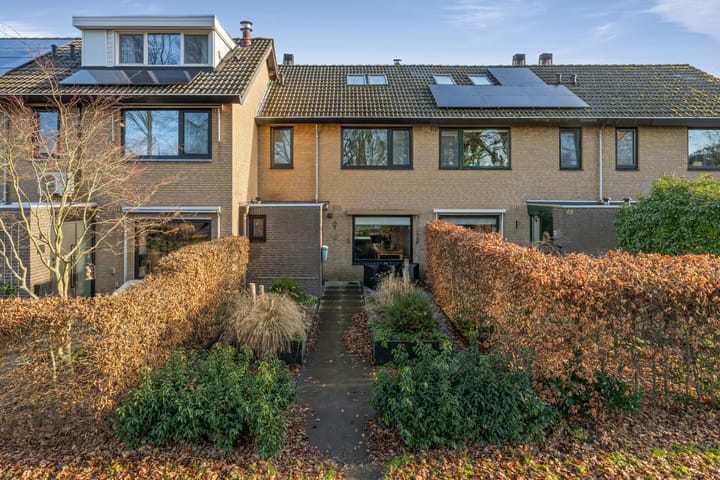 Contrabas 63 main image